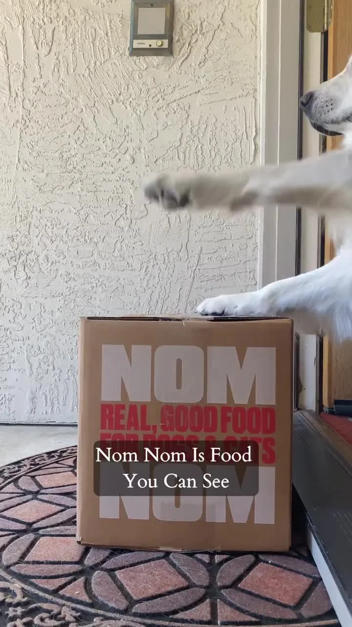 Anúncio em vídeo da Nom Nom no formato Demonstração de Produto e Storytelling